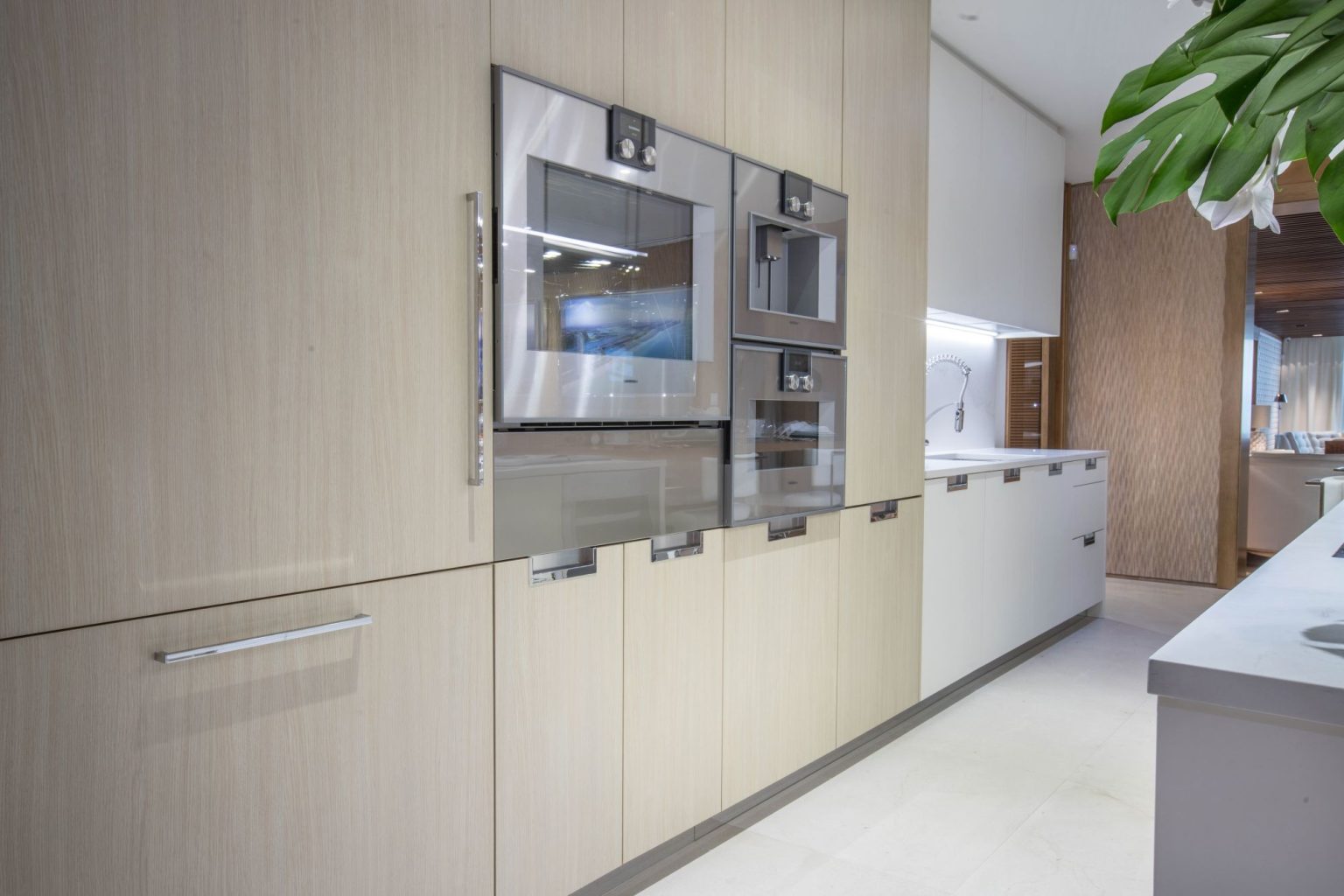 Ritz Carlton Residences 2